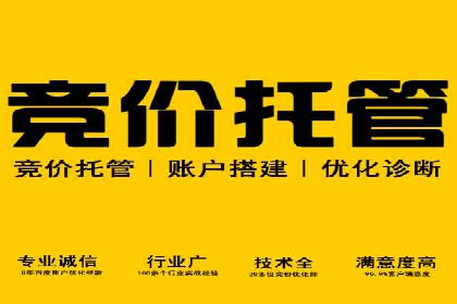 SEM竞价优化实战：提升转化率案例分析